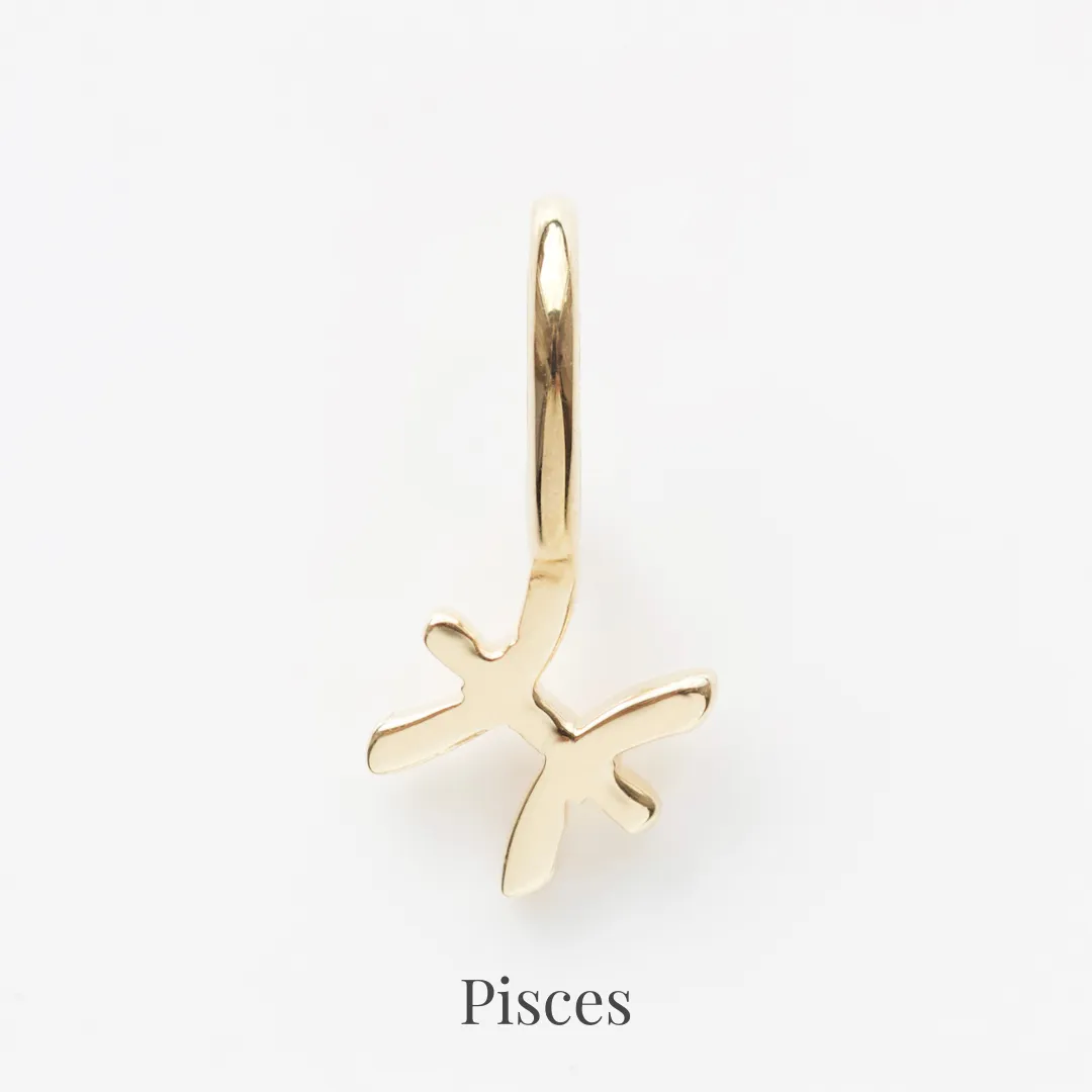 Zodiac Charm