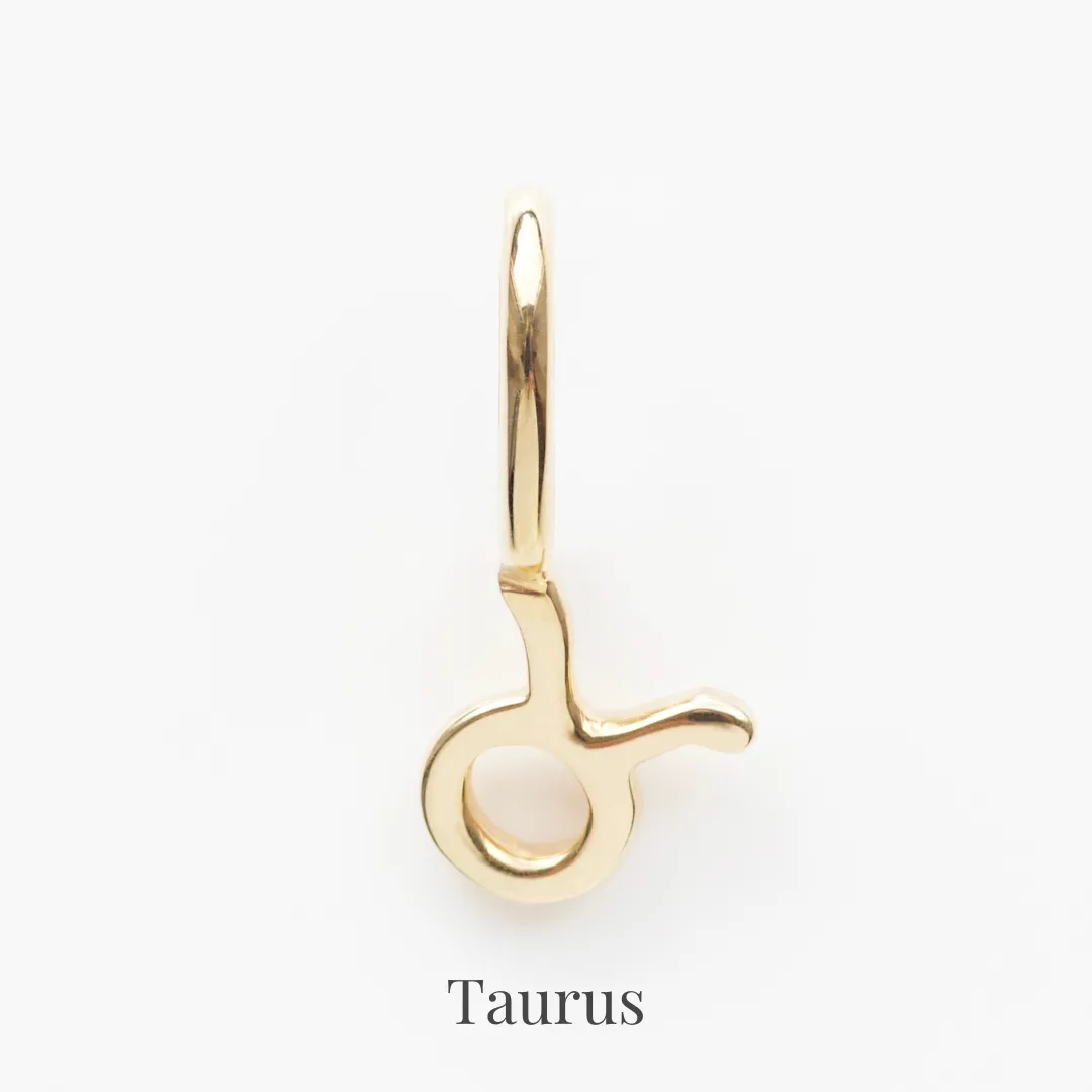 Zodiac Charm