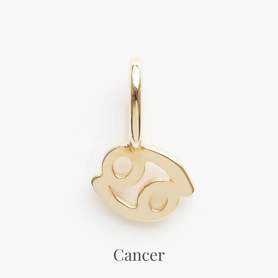 Zodiac Charm