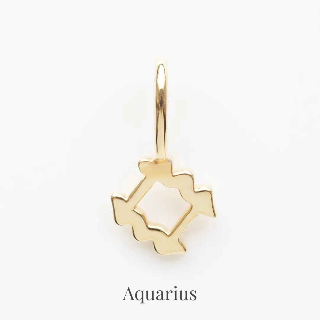 Zodiac Charm
