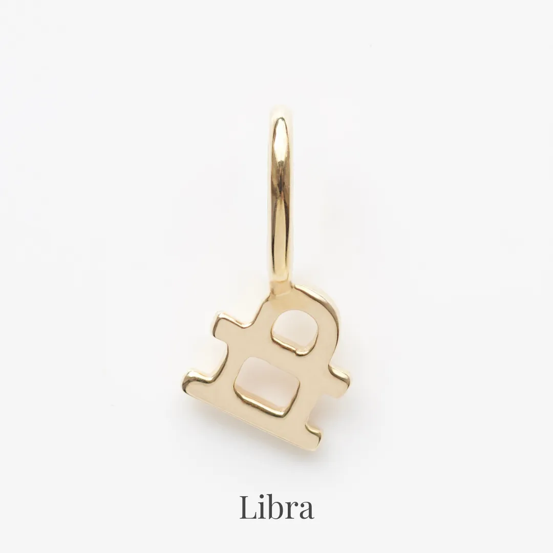 Zodiac Charm