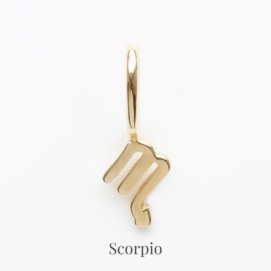 Zodiac Charm